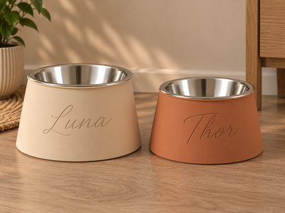 Comedouro Elevado PawPure