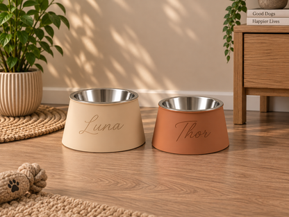 Comedouro Elevado PawPure